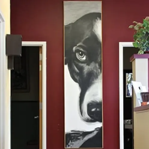 Hallway inside Evergreen Vet Clinic with a portrait of a dog and some doors